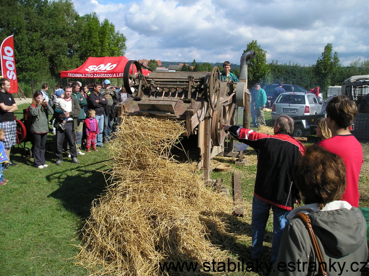 vystava-slatina-29-1-.8.2010-058